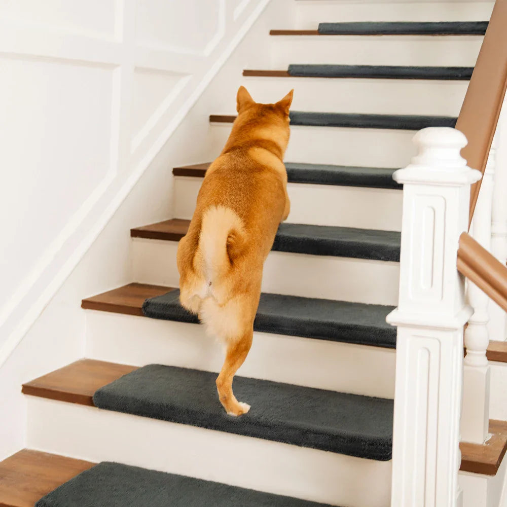 Einfarbige Plüsch-Stufenschutzbezüge Rutschfeste Klebebänder Kostenlose Teppich-Stufenauflagen