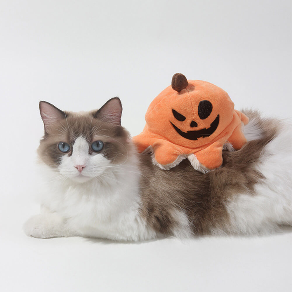 Halloween-Pirat Kürbis Oktopus Wendbares Plüsch-Hundespielzeug