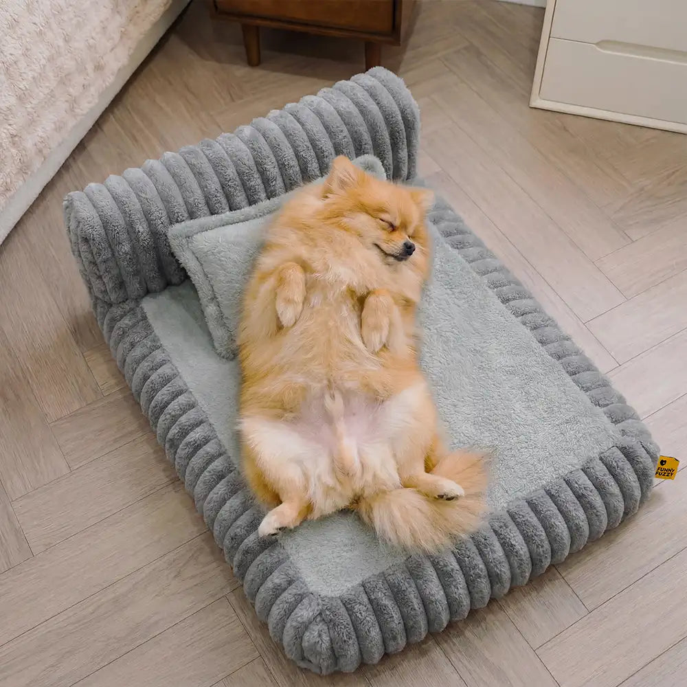 Mini-Plüsch-Hausstil Rückenstütze Orthopädisches Bett für kleine Hunde - TinyNest