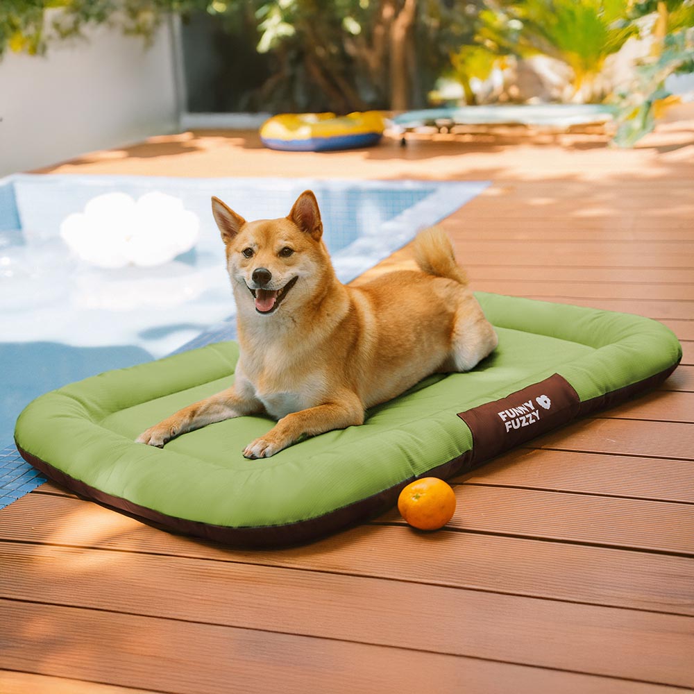 Wasserfestes und bissfestes Memory-Schaum-Orthopädisches Hundematte für die Hundebox