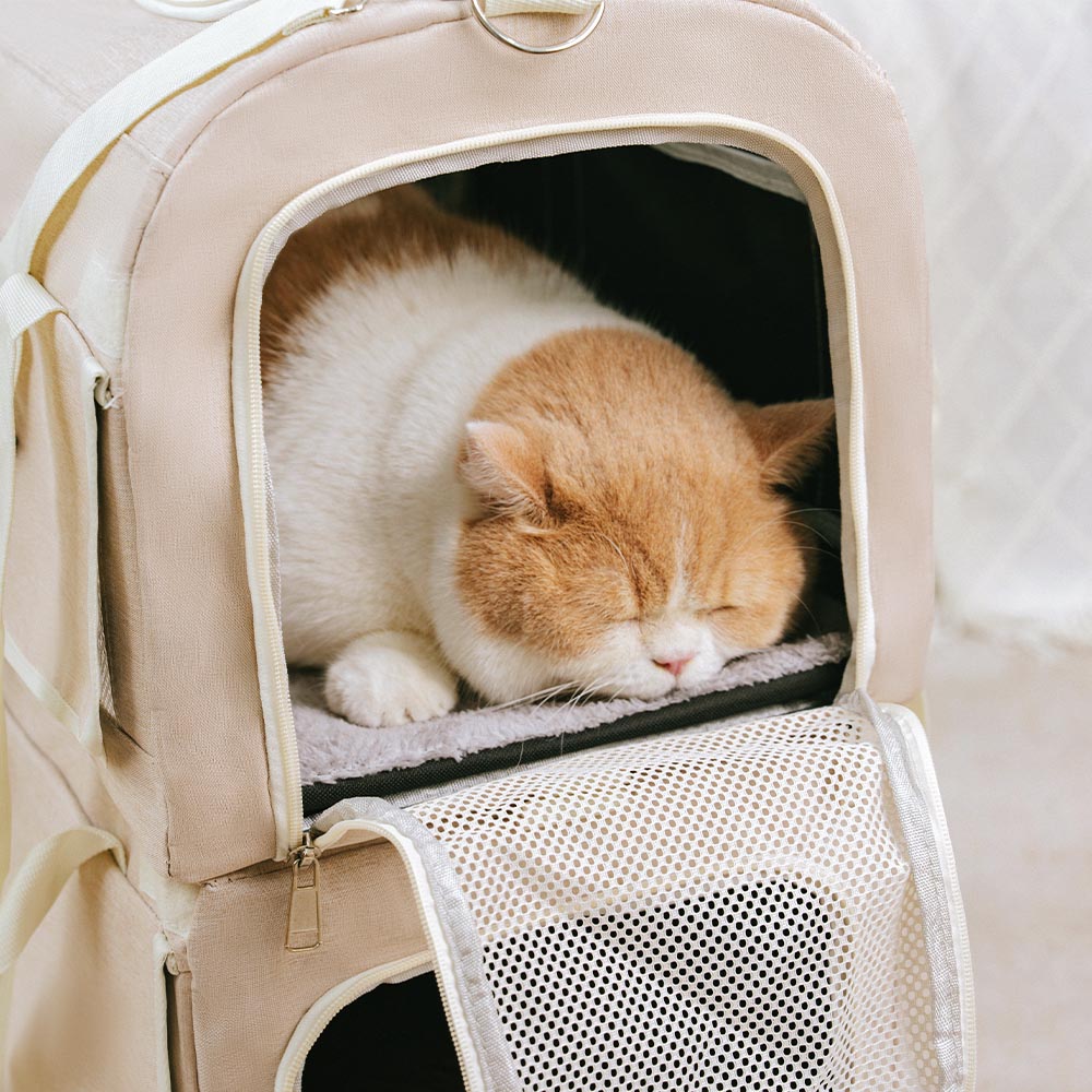 Doppel-Layer Geräumige Mehrkatzen-Reise-Tiertransporttasche mit Rollen