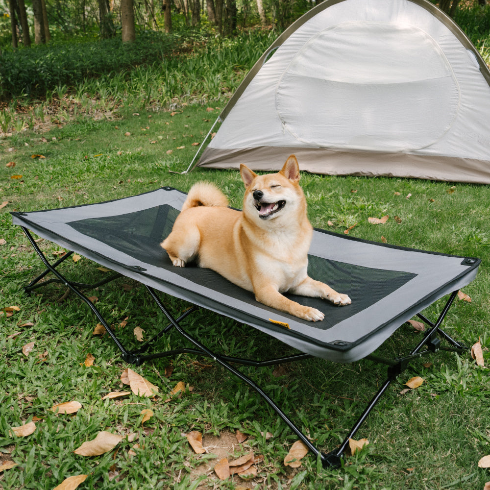 Klappbares erhöhtes Cooling Outdoor Hundebett - Urban Roaming