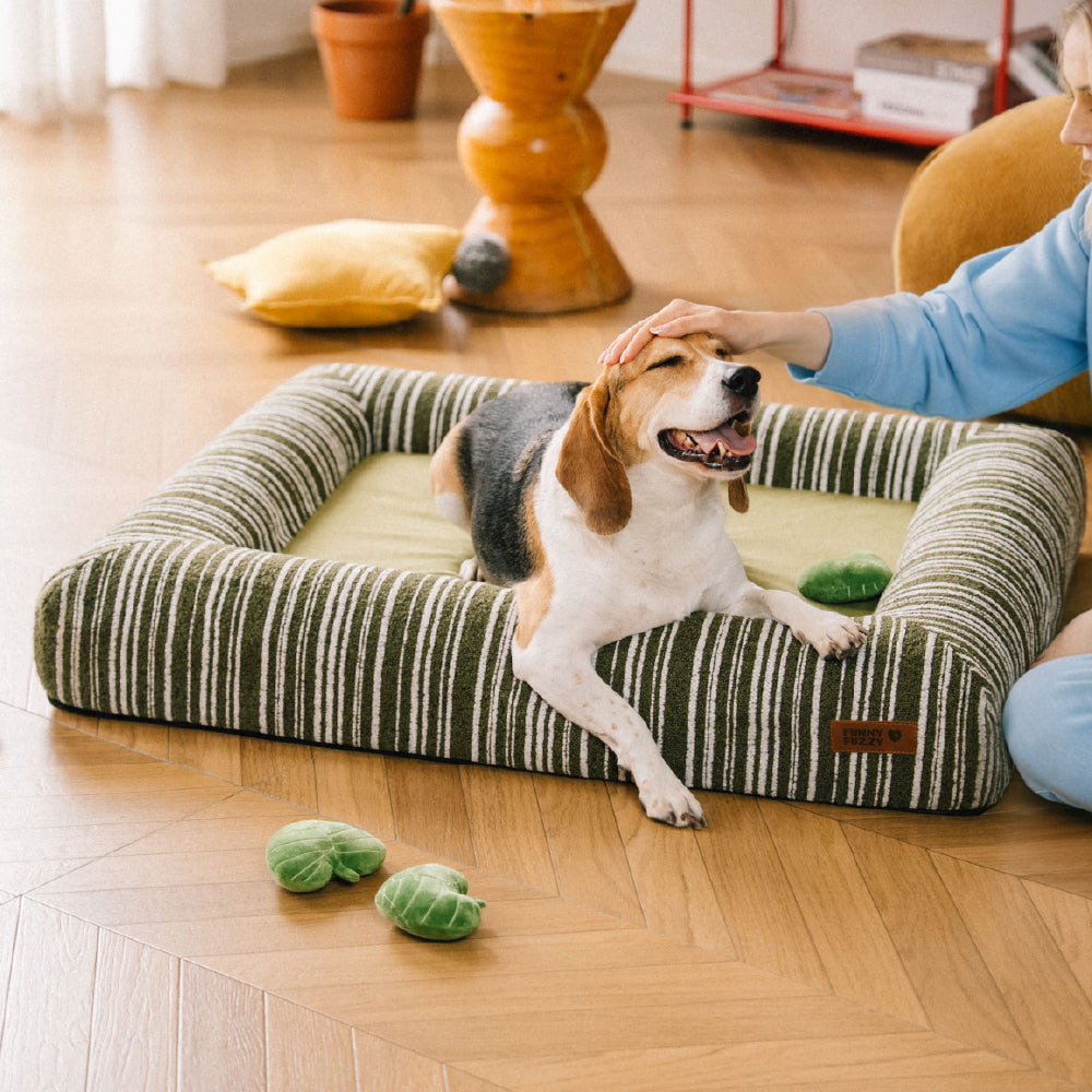 Orthopädisches ganzjahres Memory Foam Hundebett - Funnyfuzzy SnugNest
