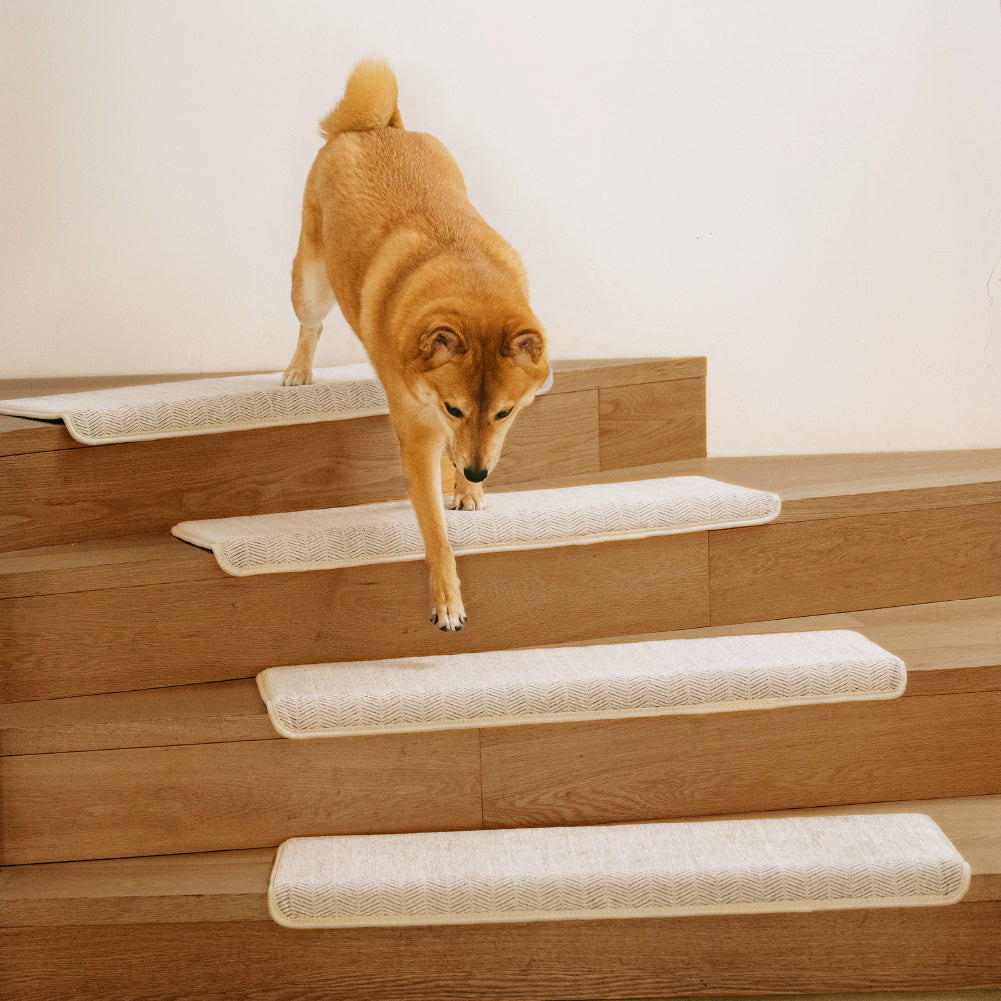 Federbein verschleißfeste Treppenschutzband für Teppichtreppen