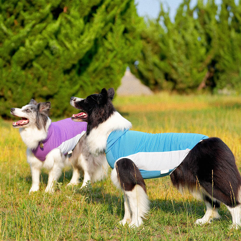 Haustier Kleidung Outdoor Kontrast Farbe Sonnenhut & Kühlung Sonne Tank Weste