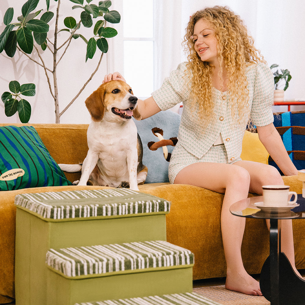 Klappbare Hundetreppe mit Stauraum und Wohnung - Funnyfuzzy SnugNest