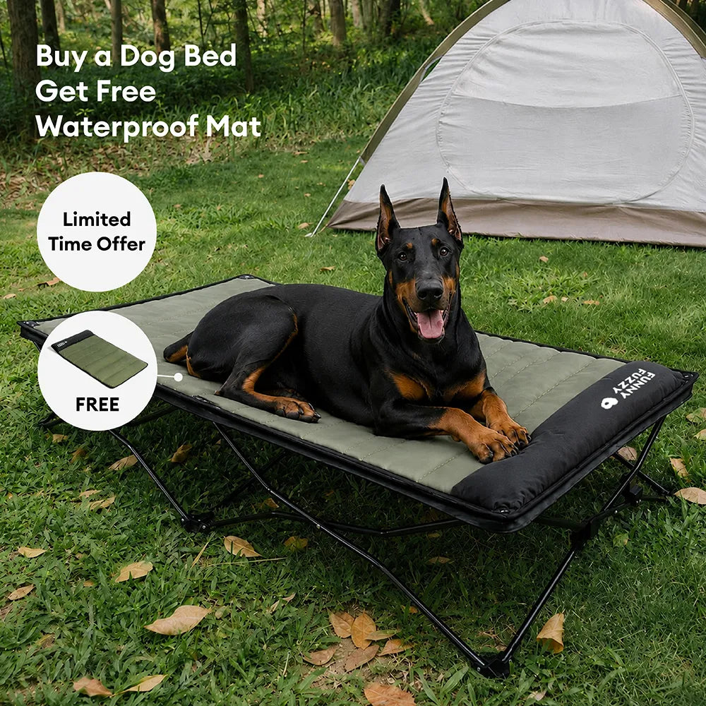Klappbares erhöhtes Hundebett mit wasserdichter Matte - Urban Roaming