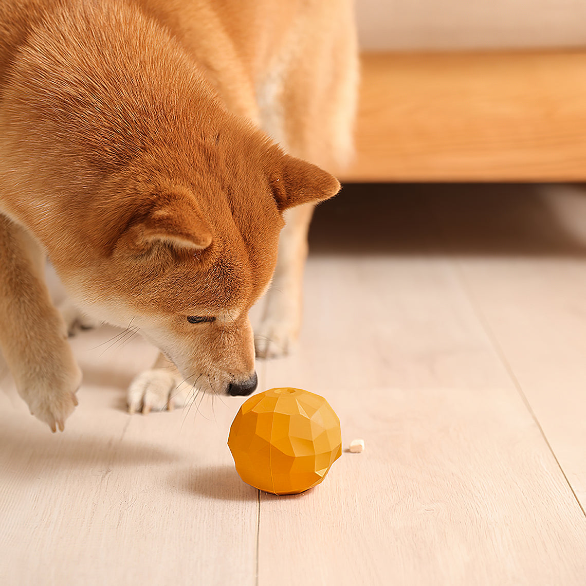 Quietschendes Interaktives Kauspielzeug aus Plüsch Geschenkkorb-Set für Hundespielzeug