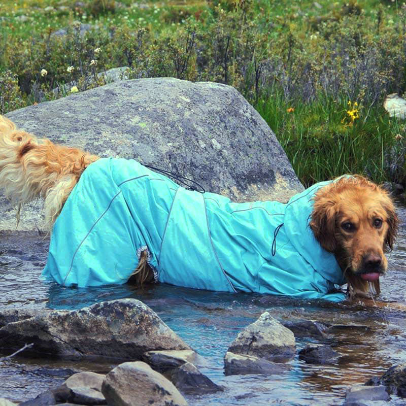 Wasserdicht Verstellbarer Hunderegenmantel Outdoor-Jacke für große Hunde