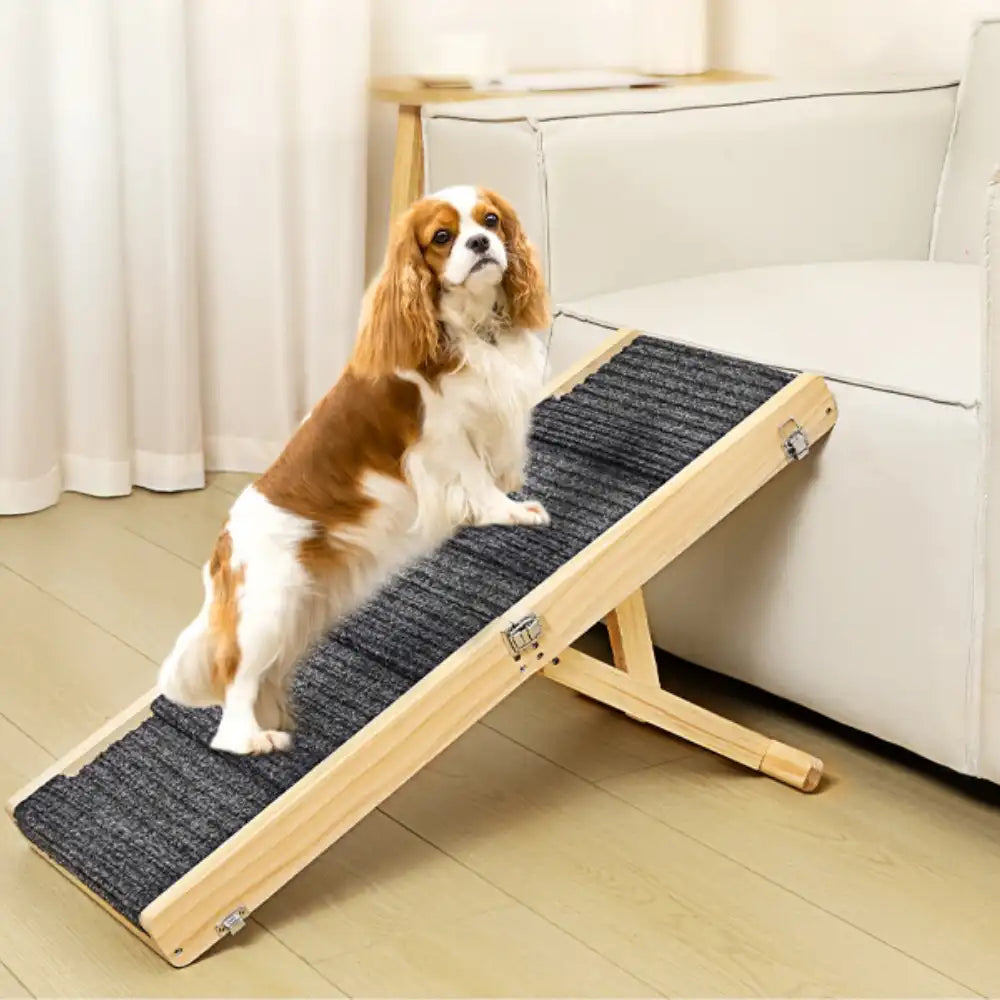 Holz-Hund Rampen 4 Stufen höhenverstellbar faltbare Hundetreppe