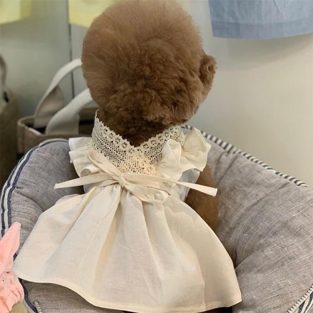 Elegantes Hundekleid mit Spitzenschleife für kleine bis mittelgroße Hunde – Perfekt für besondere Anlässe!