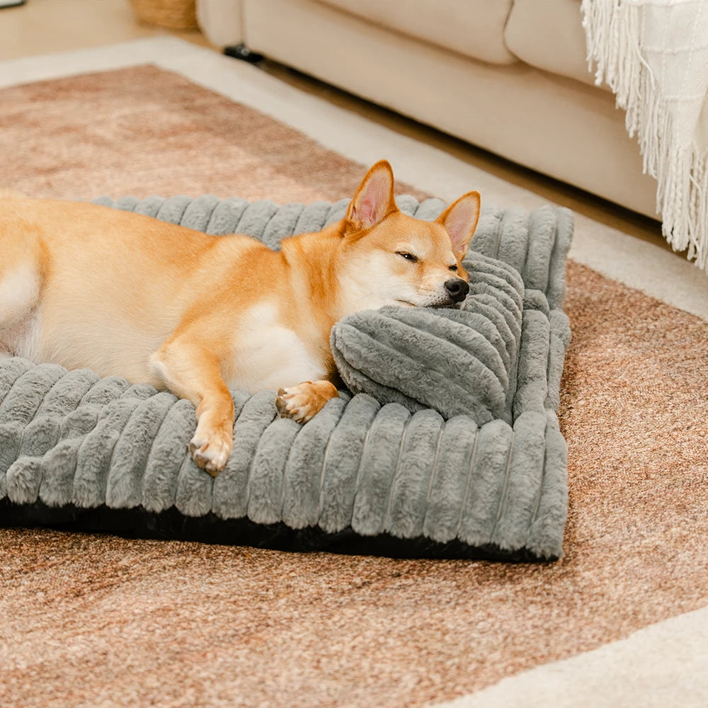 Plüschiges, flauschiges, dickes, beruhigendes Hundebett mit Kissen
