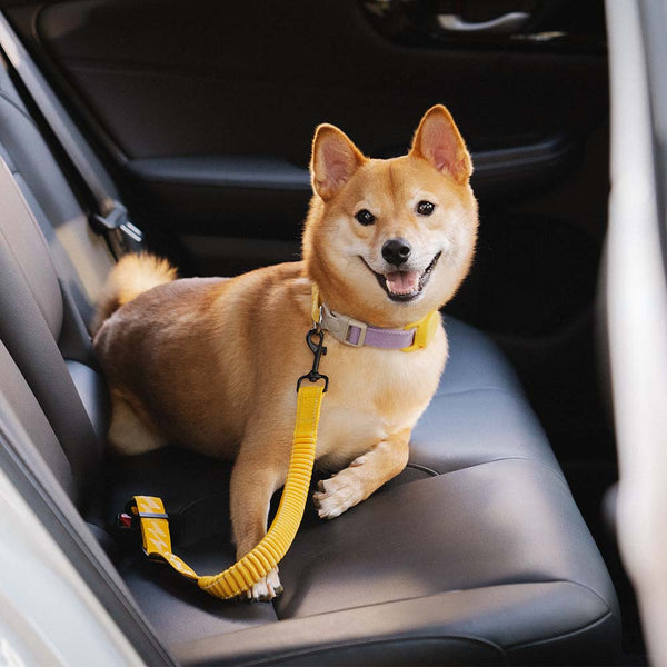 Buffer Verstellbarer Sicherheitsgurt fürs Auto Cooles Hundezubehör