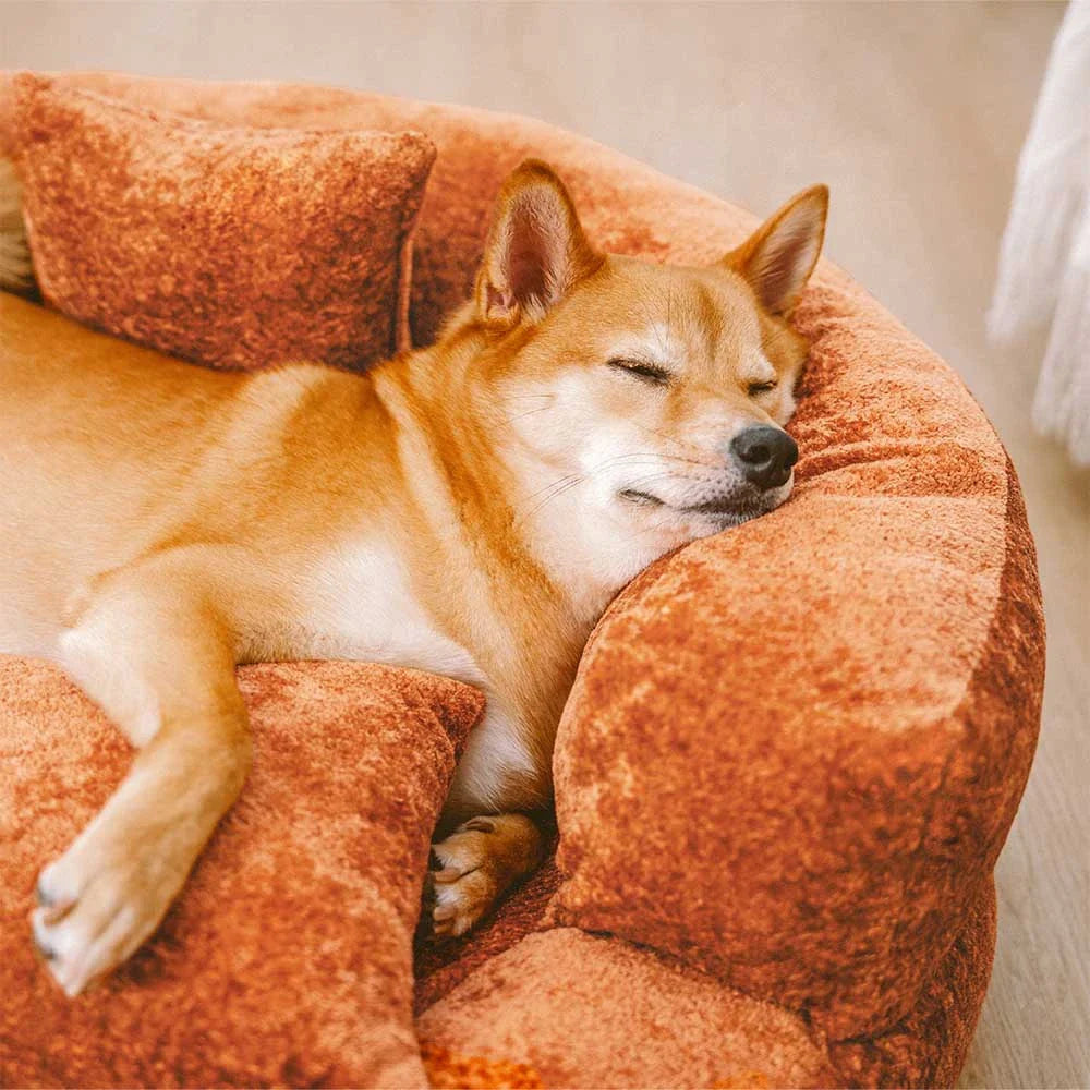 Luxe Diamond Velvet Abnehmbares Orthopädisches Donut-Hundebett mit Kissen - DreamNest