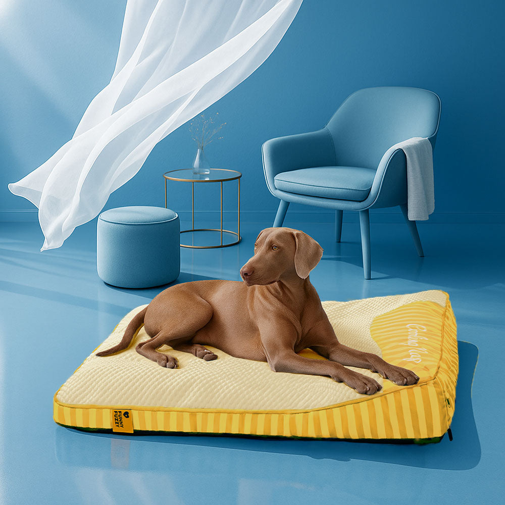 Extra große kühlende waschbare rechteckige orthopädische Hundebett - für den Außenbereich