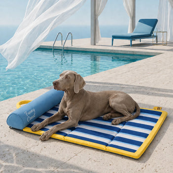 Kühlmatte Hund Atmungsaktive Kühlmatte für Hunde Faltbar Chill Nest