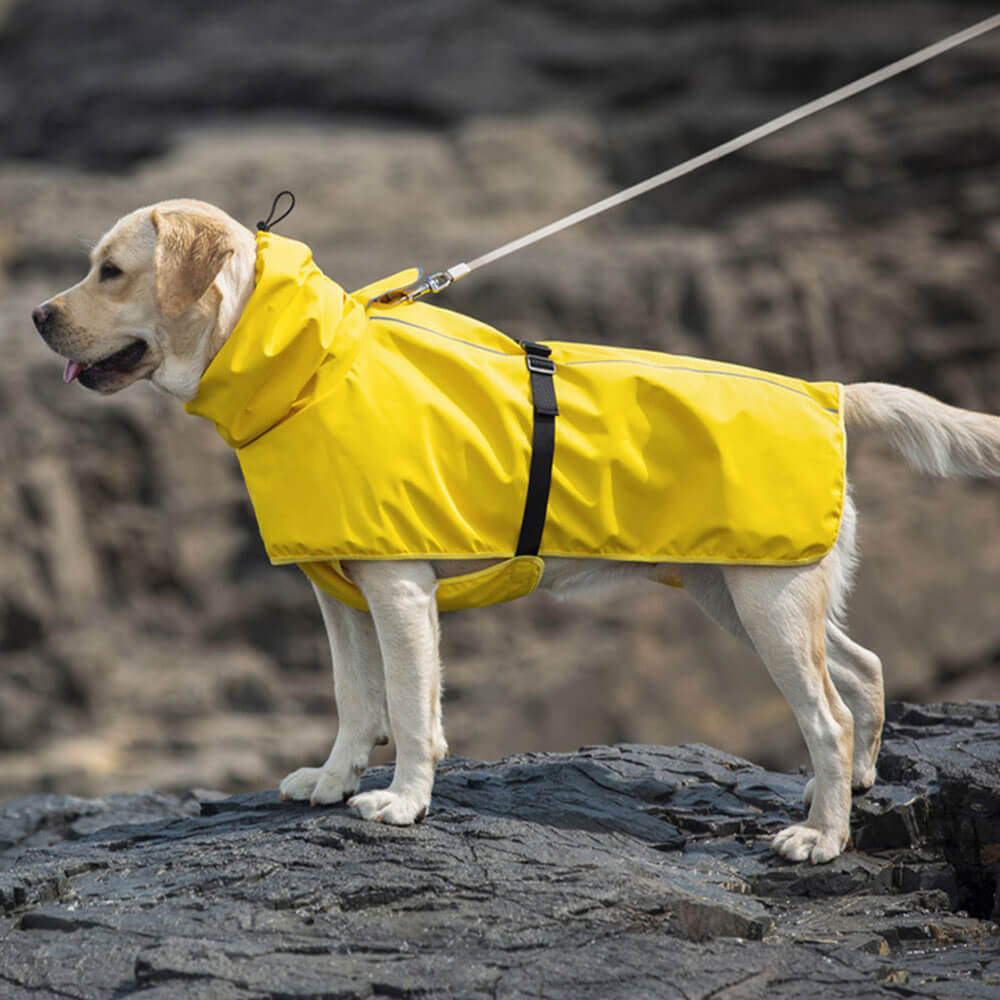 Wasserdichte Grenzüberschreitende Hundekleidung für den Außenbereich Regenmantel Poncho Große Hundekleidung