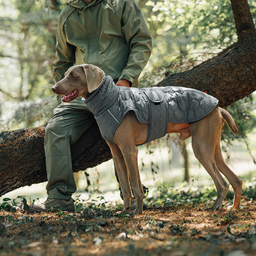 Gesteppte Outdoor-Hundeweste – warm und strapazierfähig für Wanderungen und Abenteuer