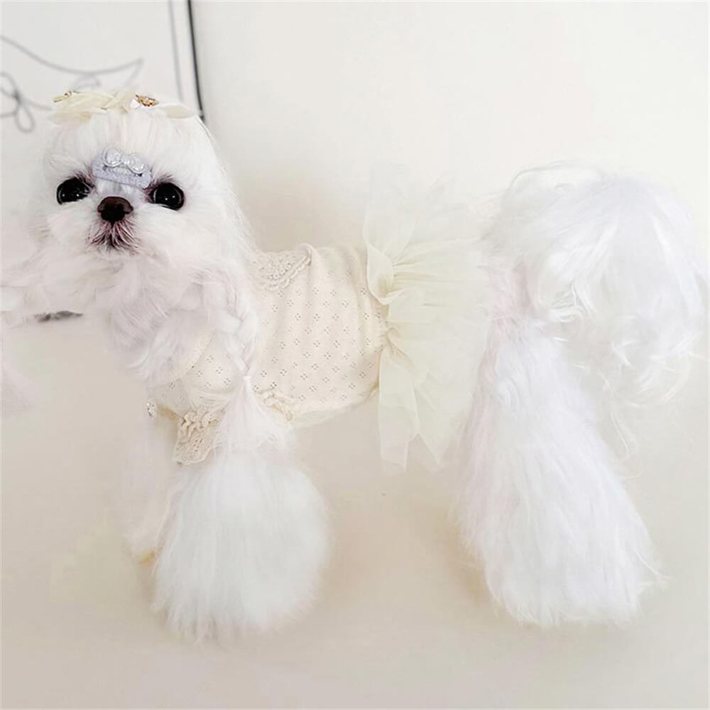 Elegantes weißes Hundekleid aus Spitze mit Herz-Akzent – perfekt für besondere Anlässe