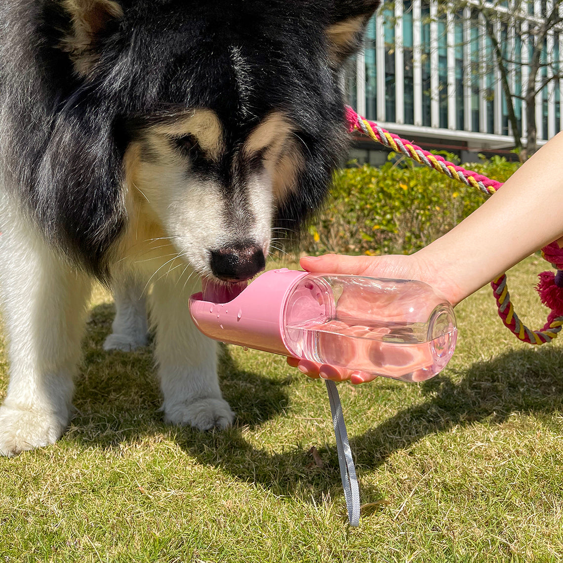 Tragbare Wasserflasche für Hunde im Freien