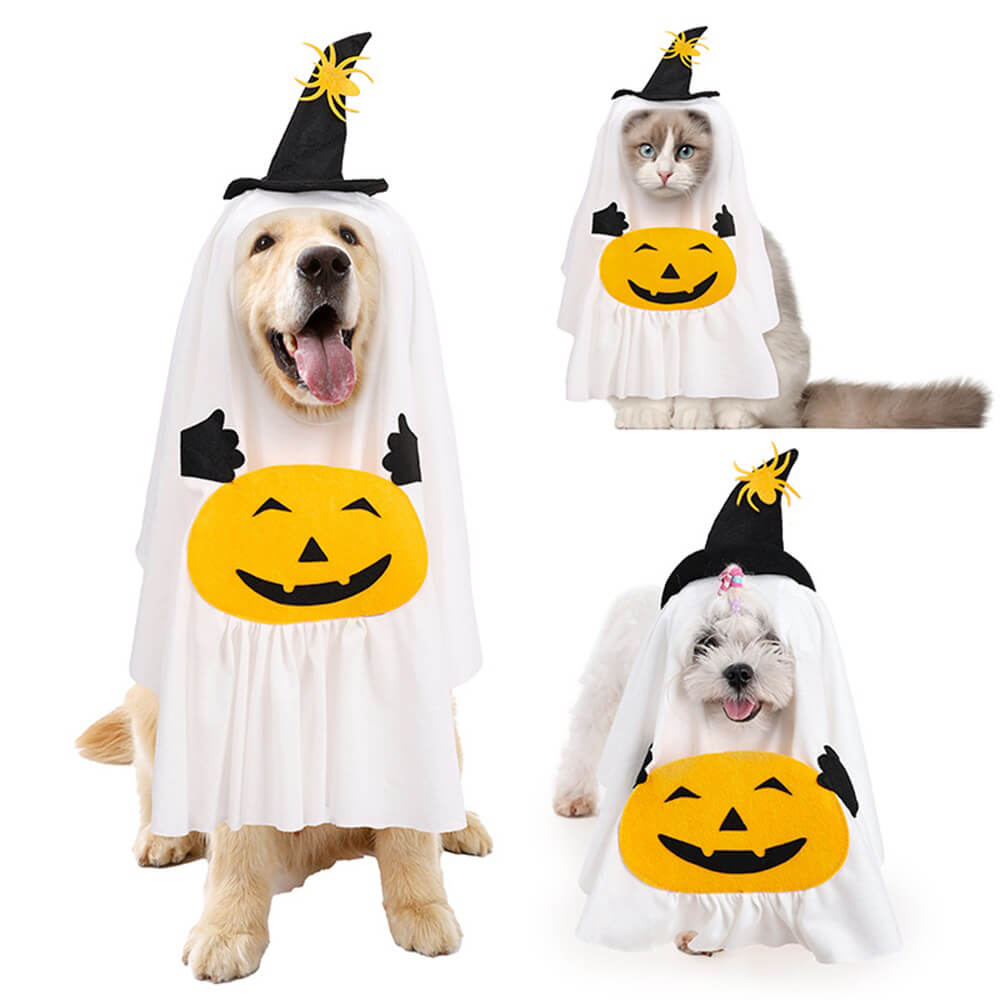 Kreatives Kürbisgeist-Halloweenkostüm für Hunde