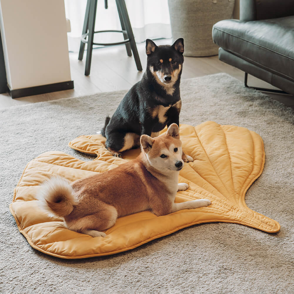 Bequem Hundebett in Donutform - Bündel