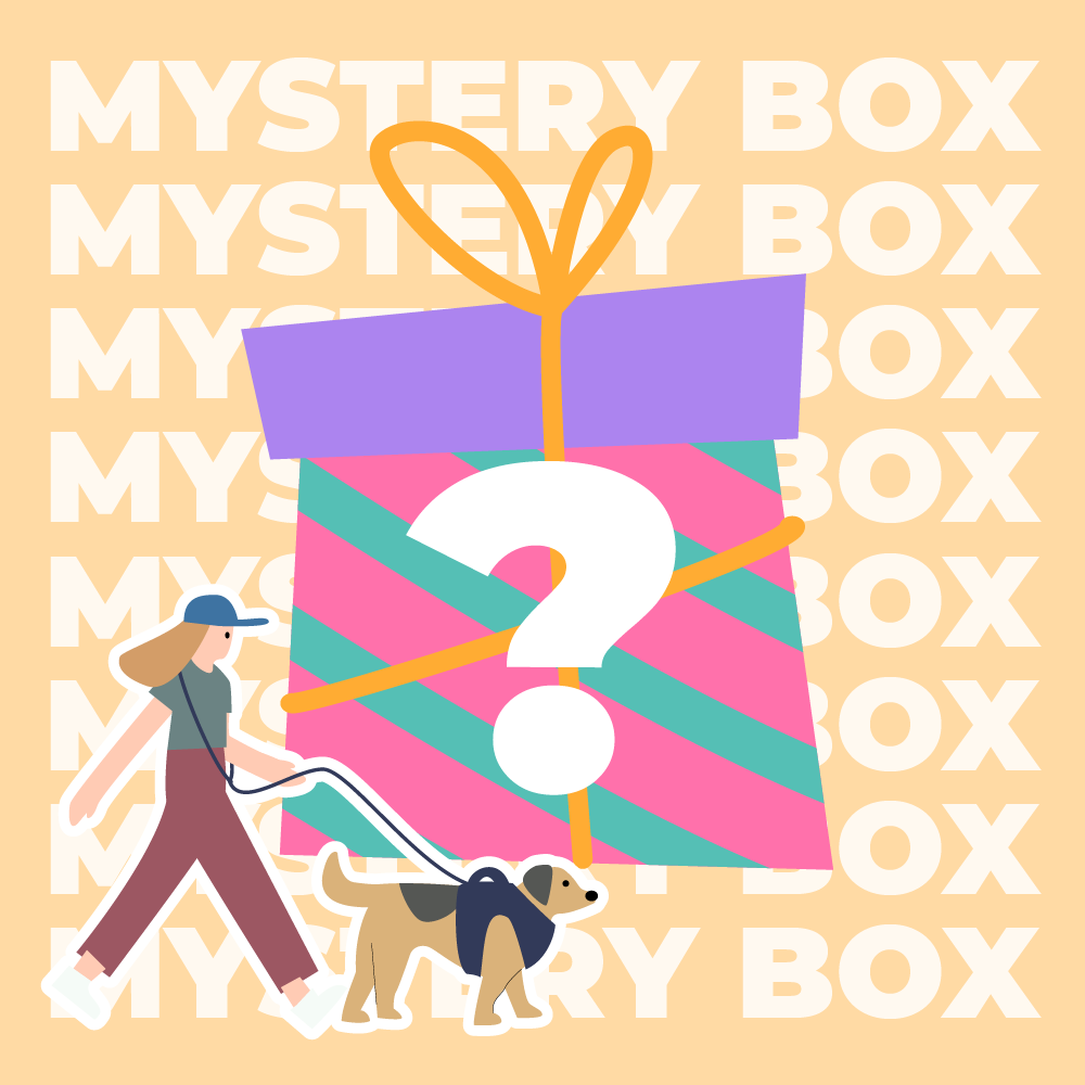 Mystery Box - Premium Leine - Zufällig - 1 Stück