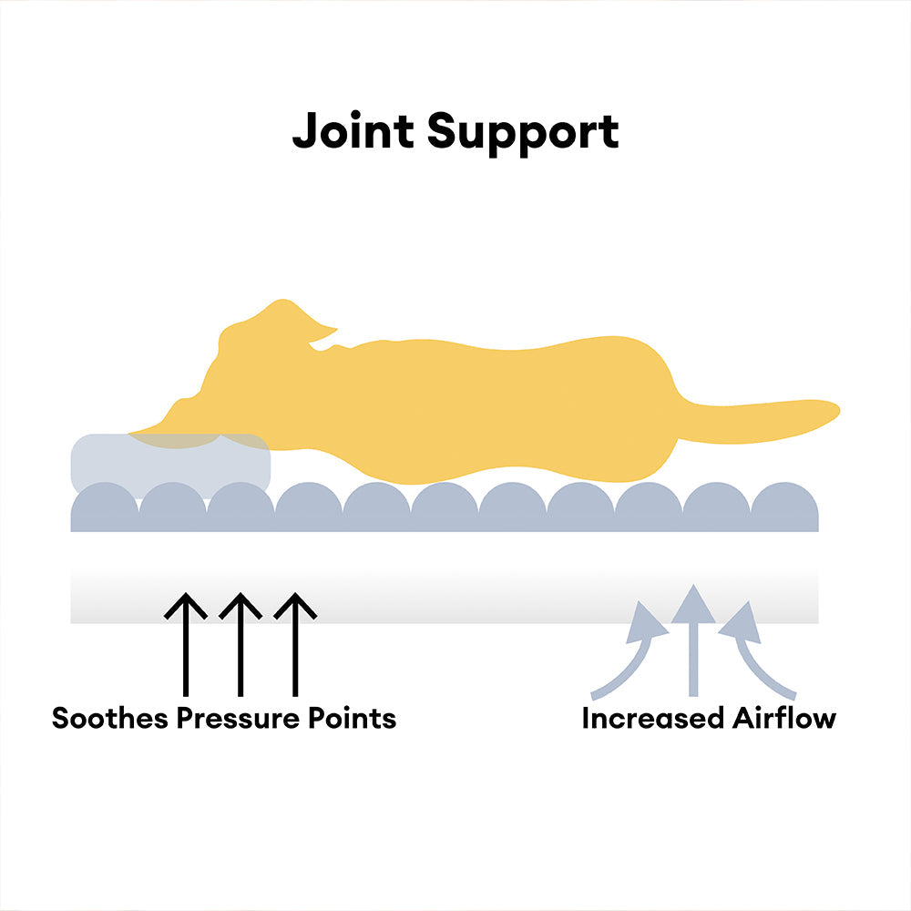 Großes waschbares flauschiges orthopädisches weiches Hundekissen Hundesofabetten - Snoozy Dream