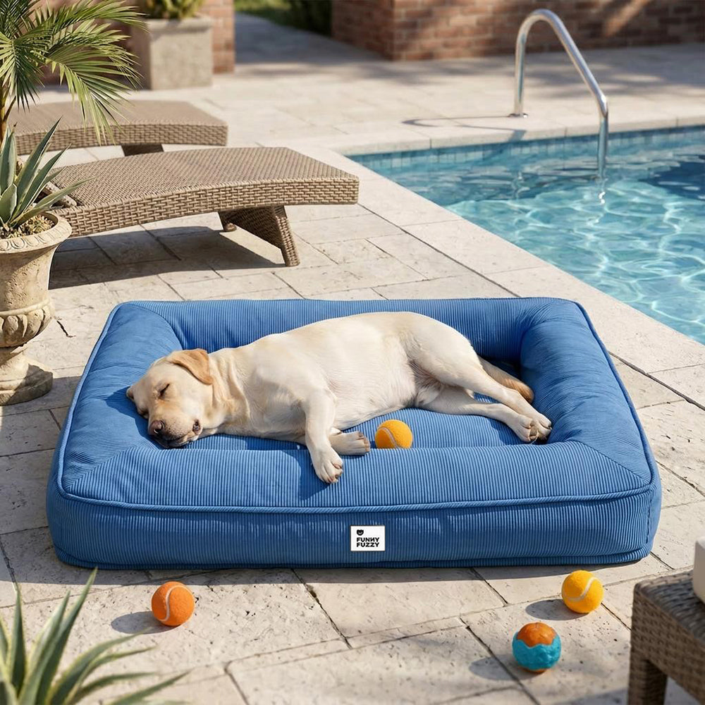 Vollständig Orthopädisches Wasserabweisendes Hundebett mit Rundum-Unterstützung für Große Hunde