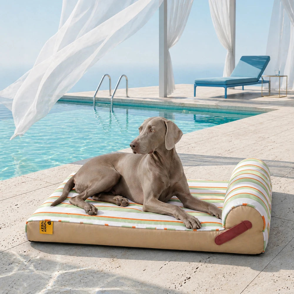 Orthopädisches Hundebett Kühlendes Hundebett Atmungsaktiv Gelenkschonend Chill Nest