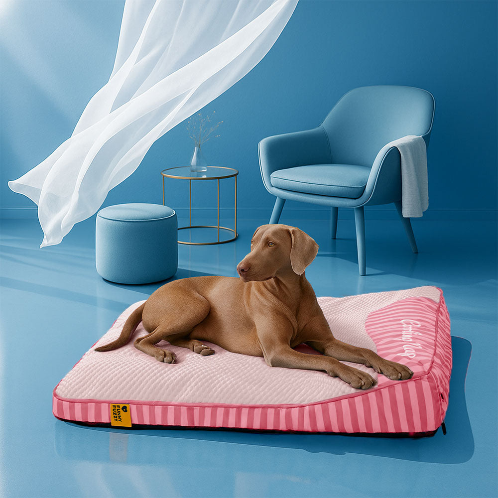 Extra große kühlende waschbare rechteckige orthopädische Hundebett - für den Außenbereich