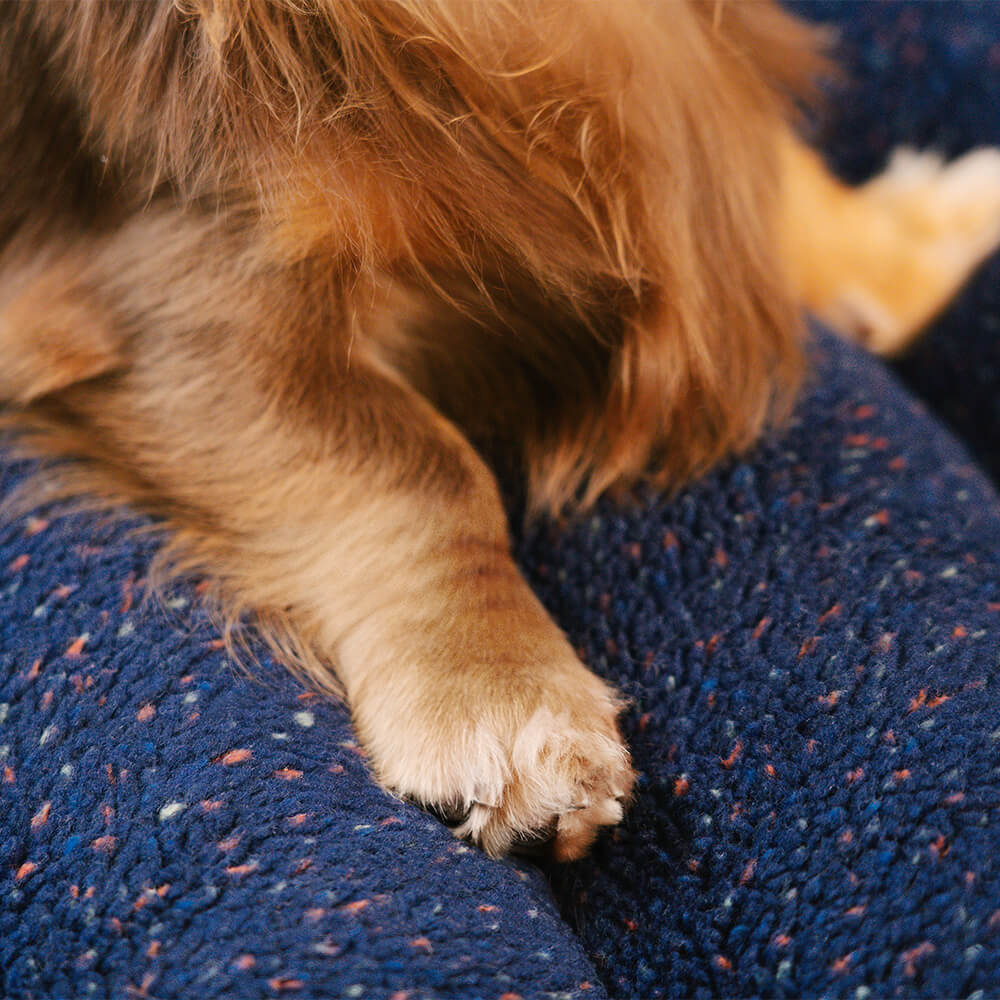 Große Waschbare Cremefarbene Gemütliche Flache Hundebetten - Käsekuchen