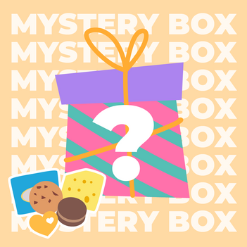 Mystery Box - Spielzeug - Zufällig - 1 Stück