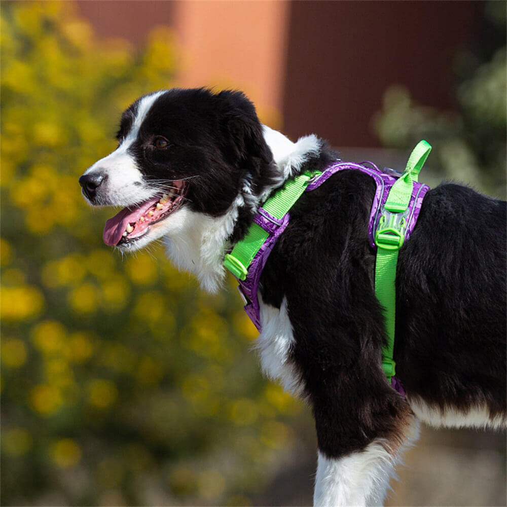 Camouflage Explosionsgeschütztes Reflektierendes Hundegeschirr mit Navigationslicht