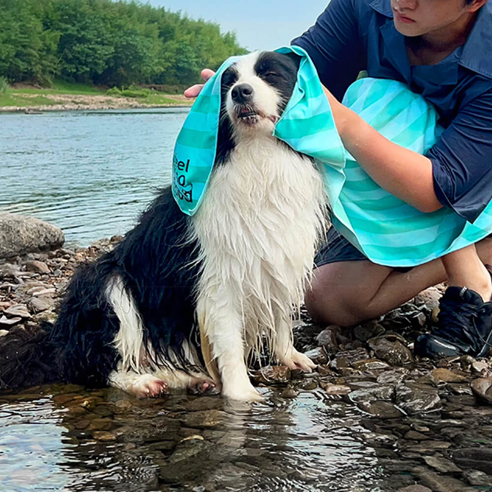 Ultra-saugfähige Leicht Schnelltrocknende Reisehandtuchdecke für Hunde