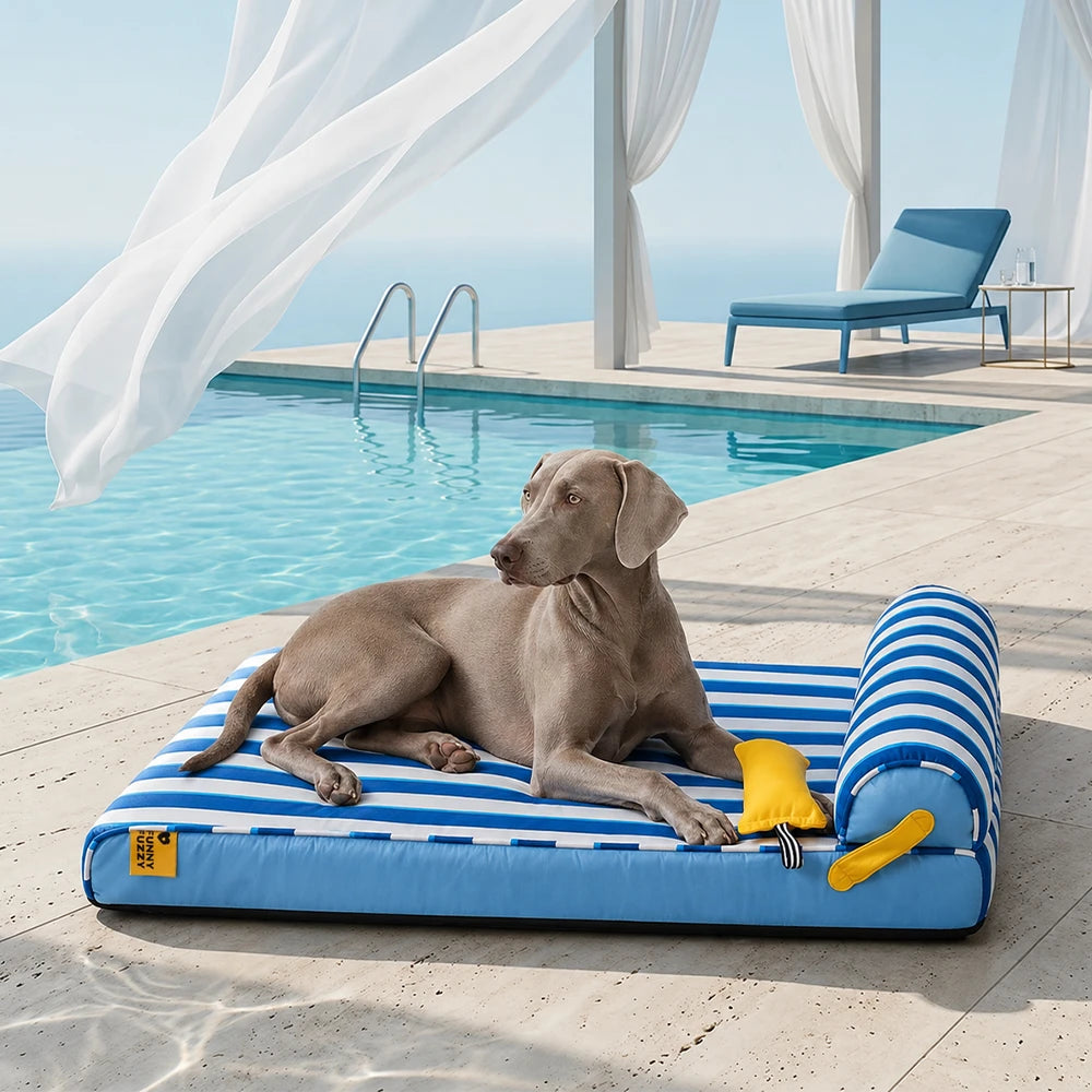 Orthopädisches Hundebett Kühlendes Hundebett Atmungsaktiv Gelenkschonend Chill Nest