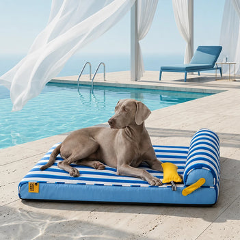 Kühlendes orthopädisches Hundebett - Chill Nest
