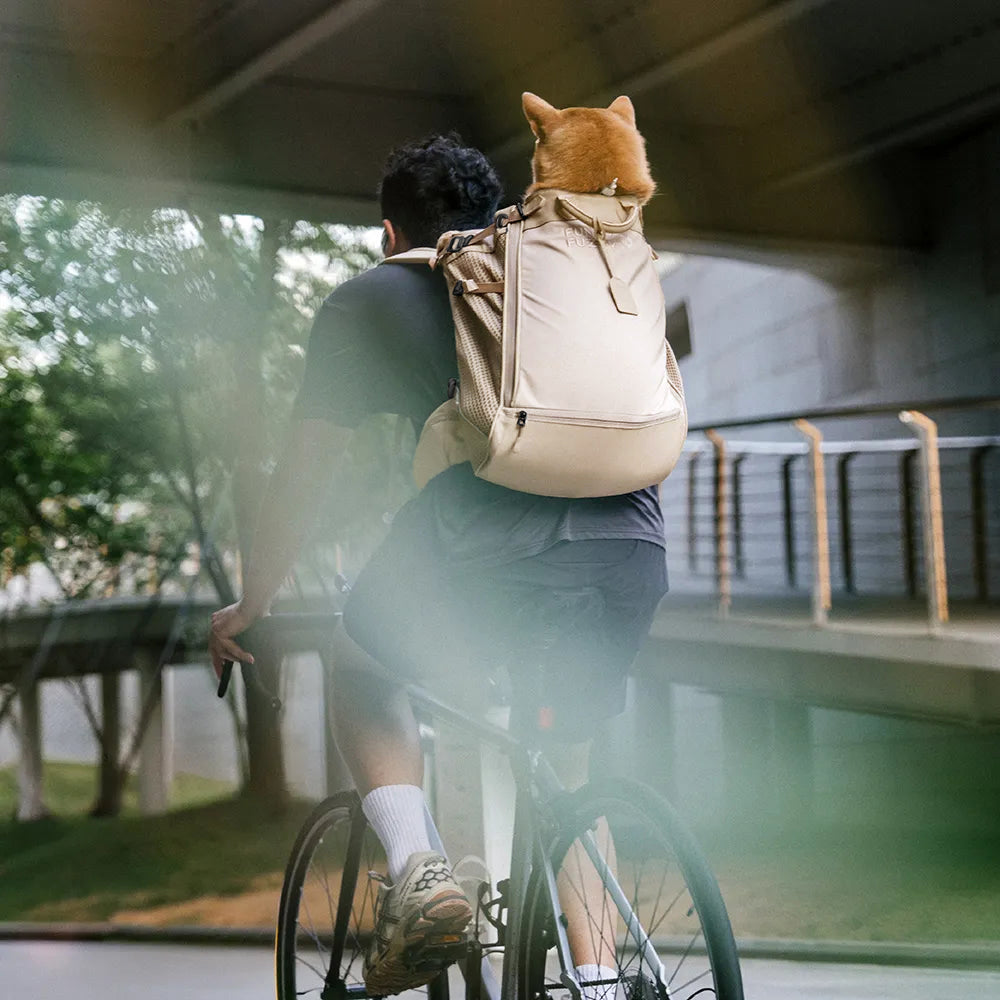Hundetransport-Rucksack - Urbanes Herumstreifen