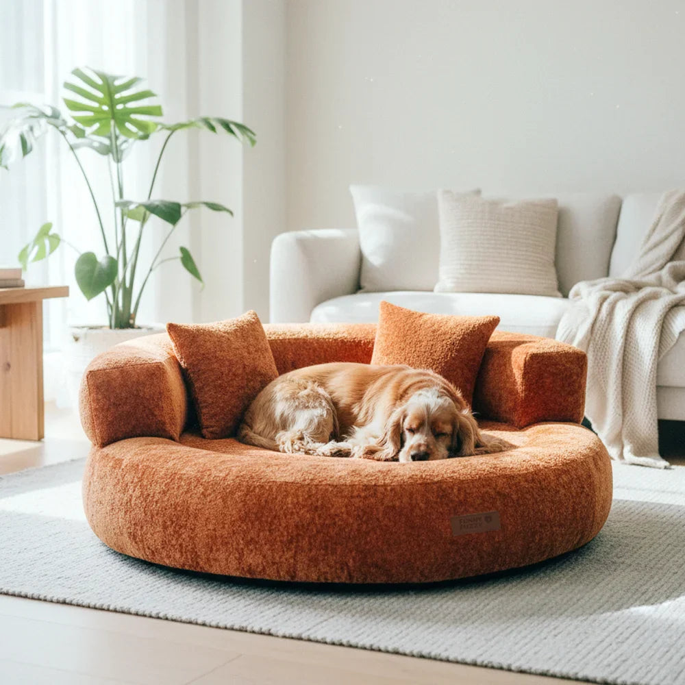 Luxe Diamond Velvet Abnehmbares Orthopädisches Donut-Hundebett mit Kissen - DreamNest
