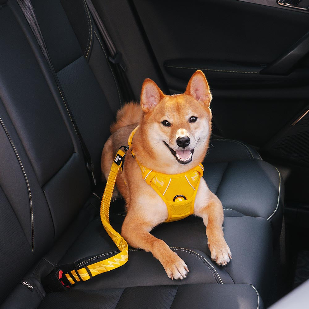 Buffer Verstellbarer Sicherheitsgurt fürs Auto Cooles Hundezubehör