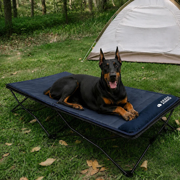 Klappbares erhöhtes Hundebett mit wasserdichter Matte - Urban Roaming