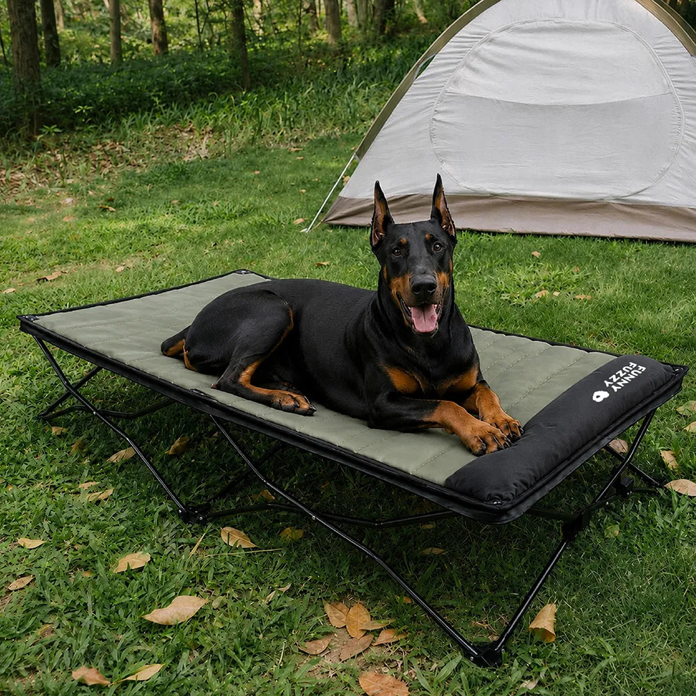 Klappbares erhöhtes Hundebett mit wasserdichter Matte - Urban Roaming