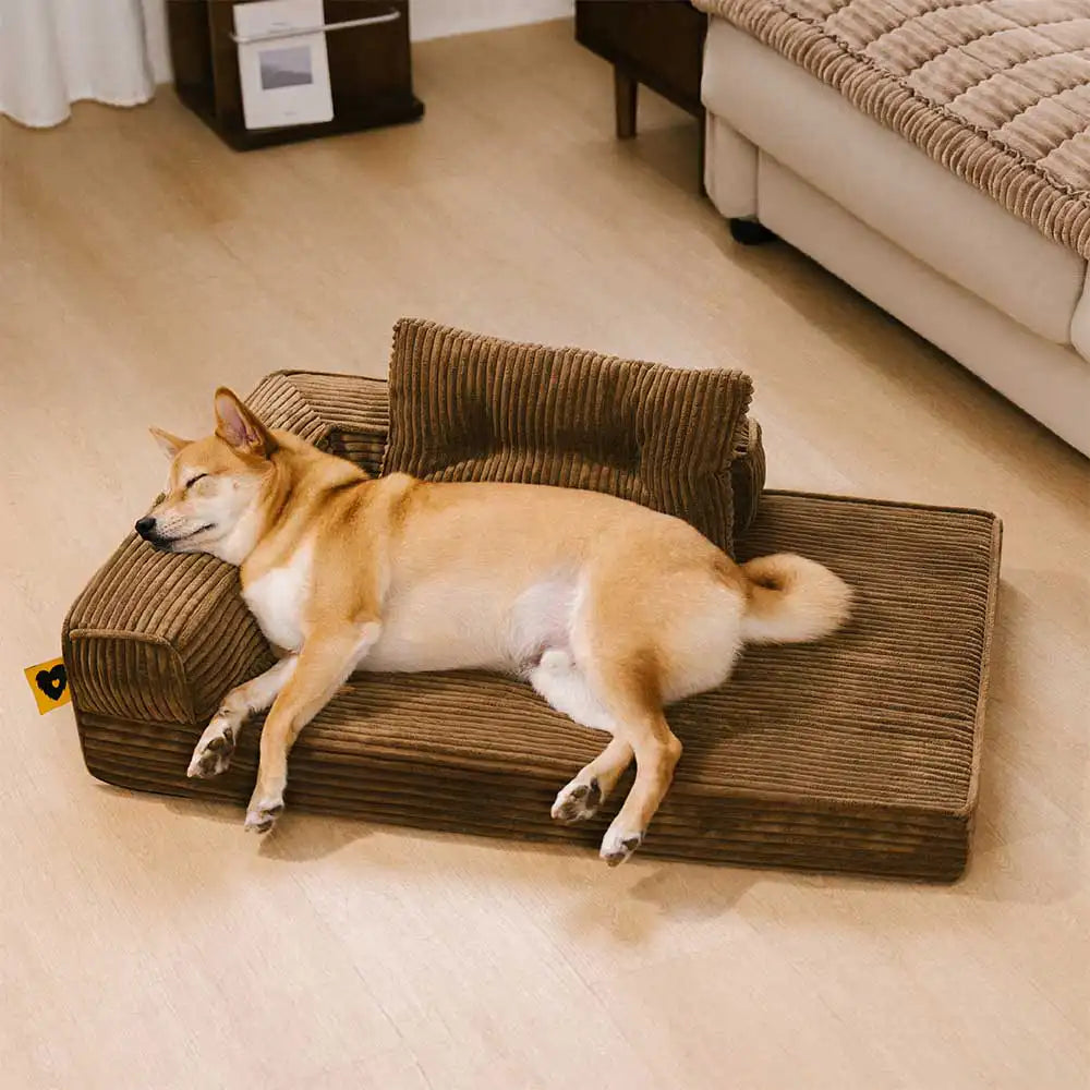 Cordura kratzfestes, abnehmbares orthopädisches Hundebett mit Kissen – ComfySofa