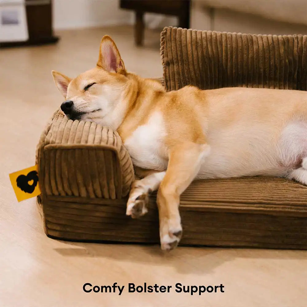 Cordura kratzfestes, abnehmbares orthopädisches Hundebett mit Kissen – ComfySofa
