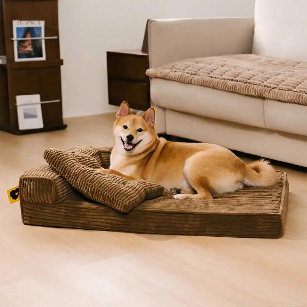 Cordura kratzfestes, abnehmbares orthopädisches Hundebett mit Kissen – ComfySofa
