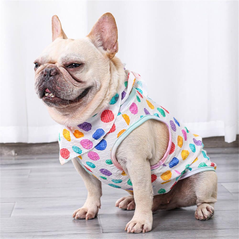 Haustier Kleidung Regenbogen Polka Dot Licht Sonnenschutz Weste