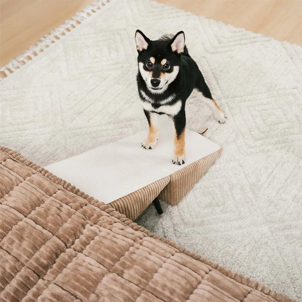 3-in-1 Bequeme Cordura Verstärkte Legierung Haustierrampe & Seitenhocker – StepSure