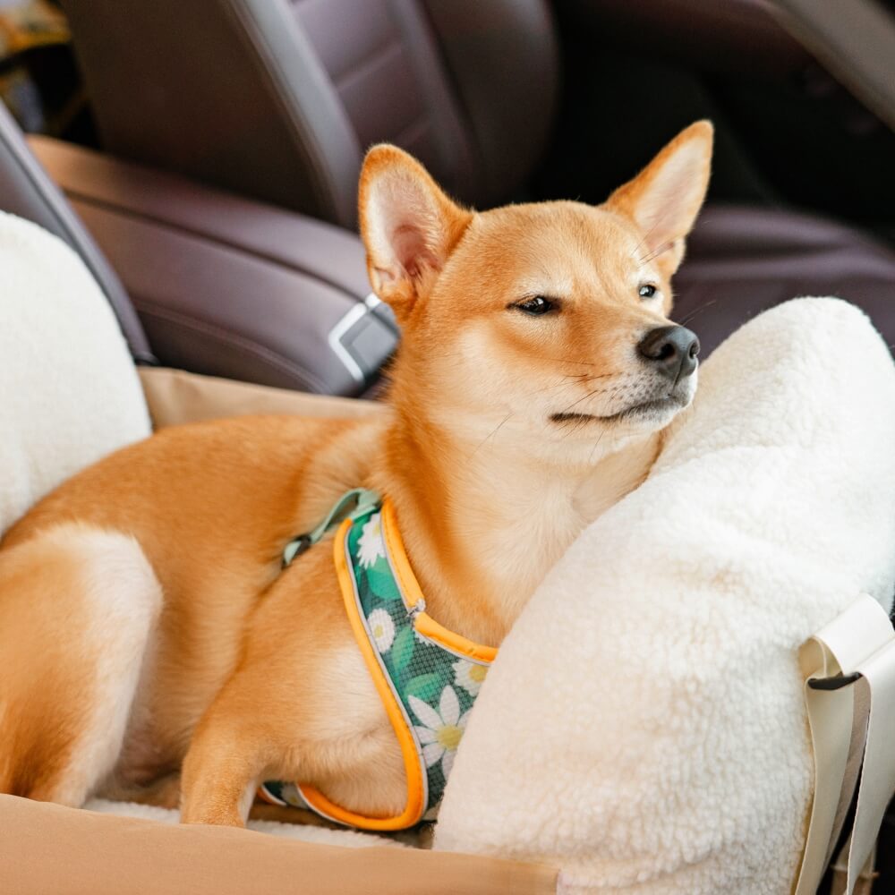 Lit de siège de voiture pour grand chien, protecteur de chiot de sécurité de voyage