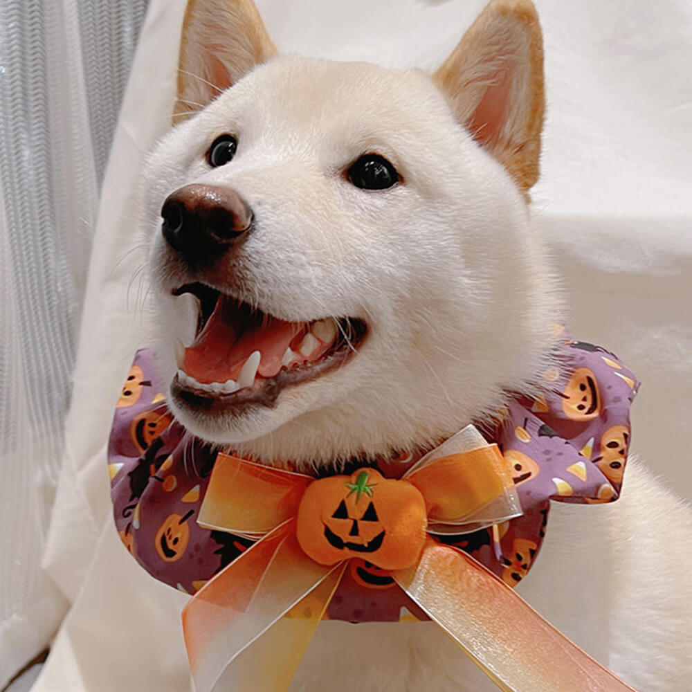 Niedlicher Kürbis Rüschen Halloween Hunde Bandana Schal