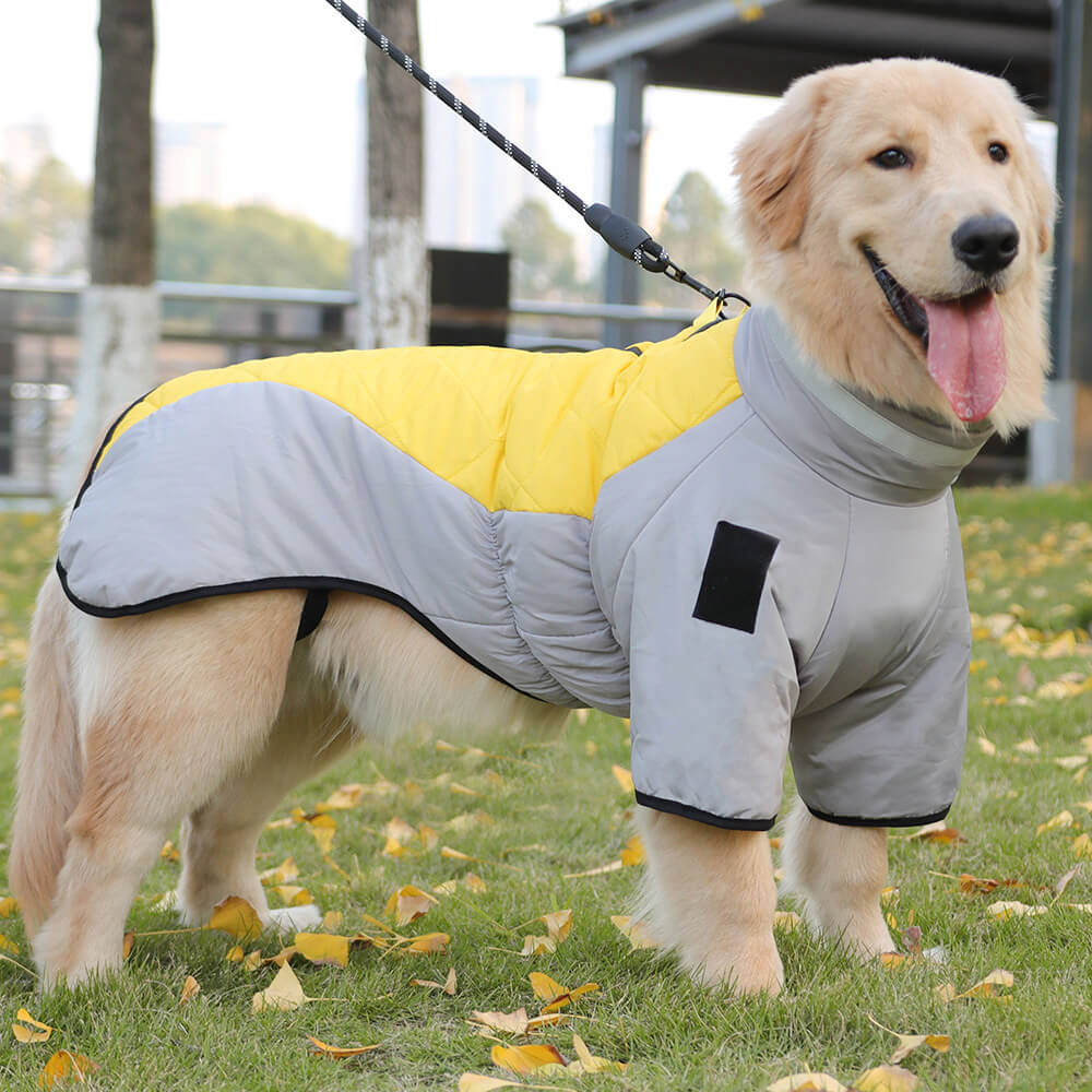 Reflektierende Warme Winterjacke aus Baumwolle für große Hunde – geeignet für Abenteuer im Freien